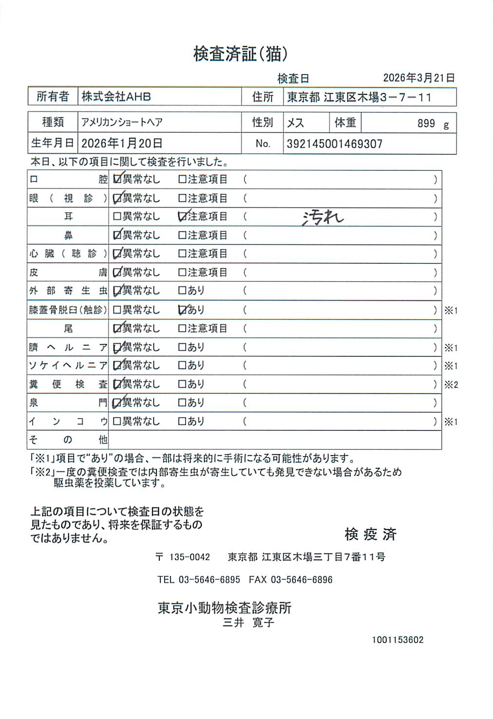 アメリカンショートヘア