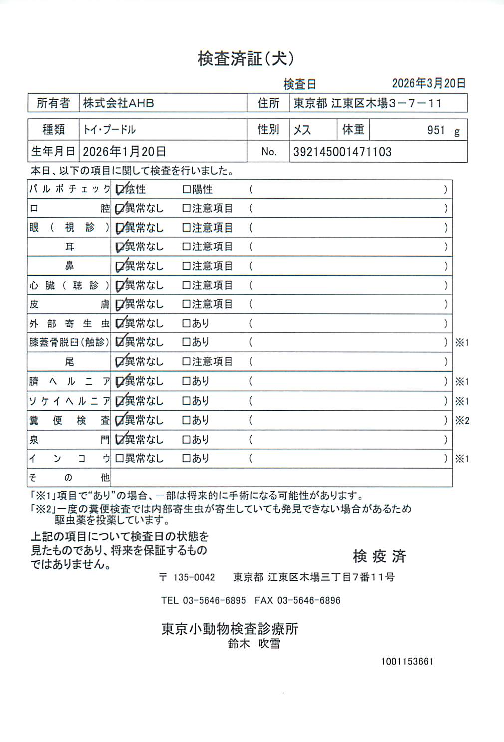 トイ・プードル