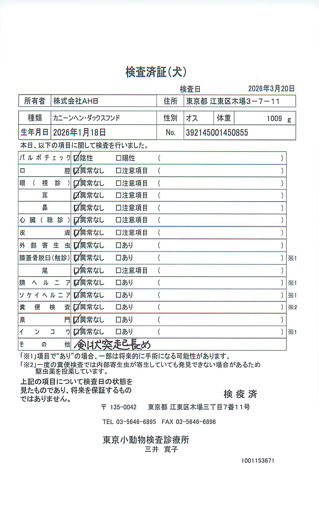 カニーンヘン・ダックスフンド
