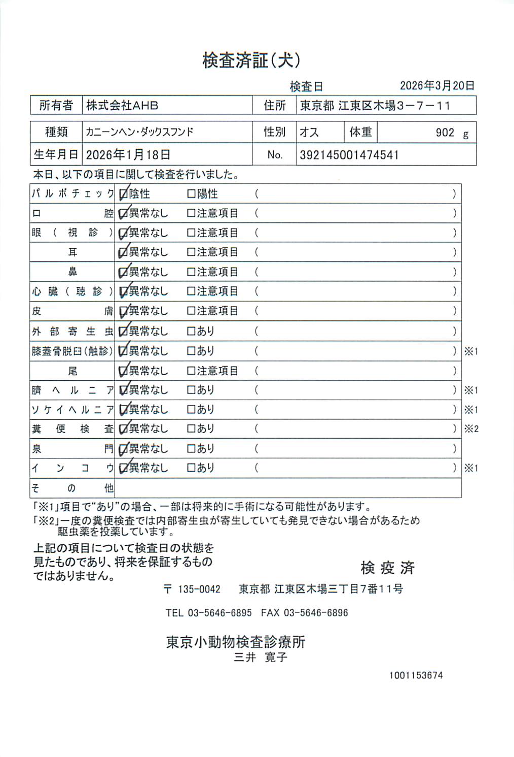 カニーンヘン・ダックスフンド