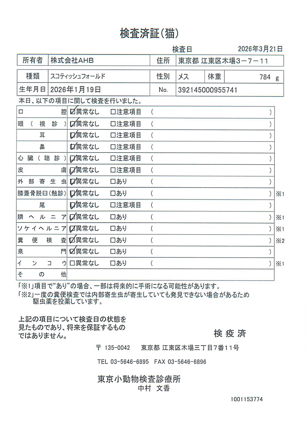 スコティッシュフォールド