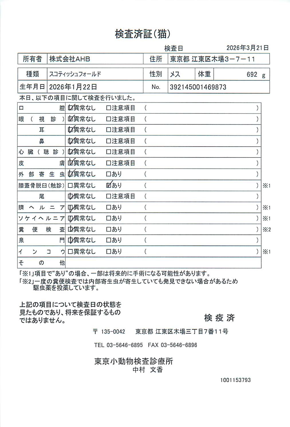 スコティッシュフォールド