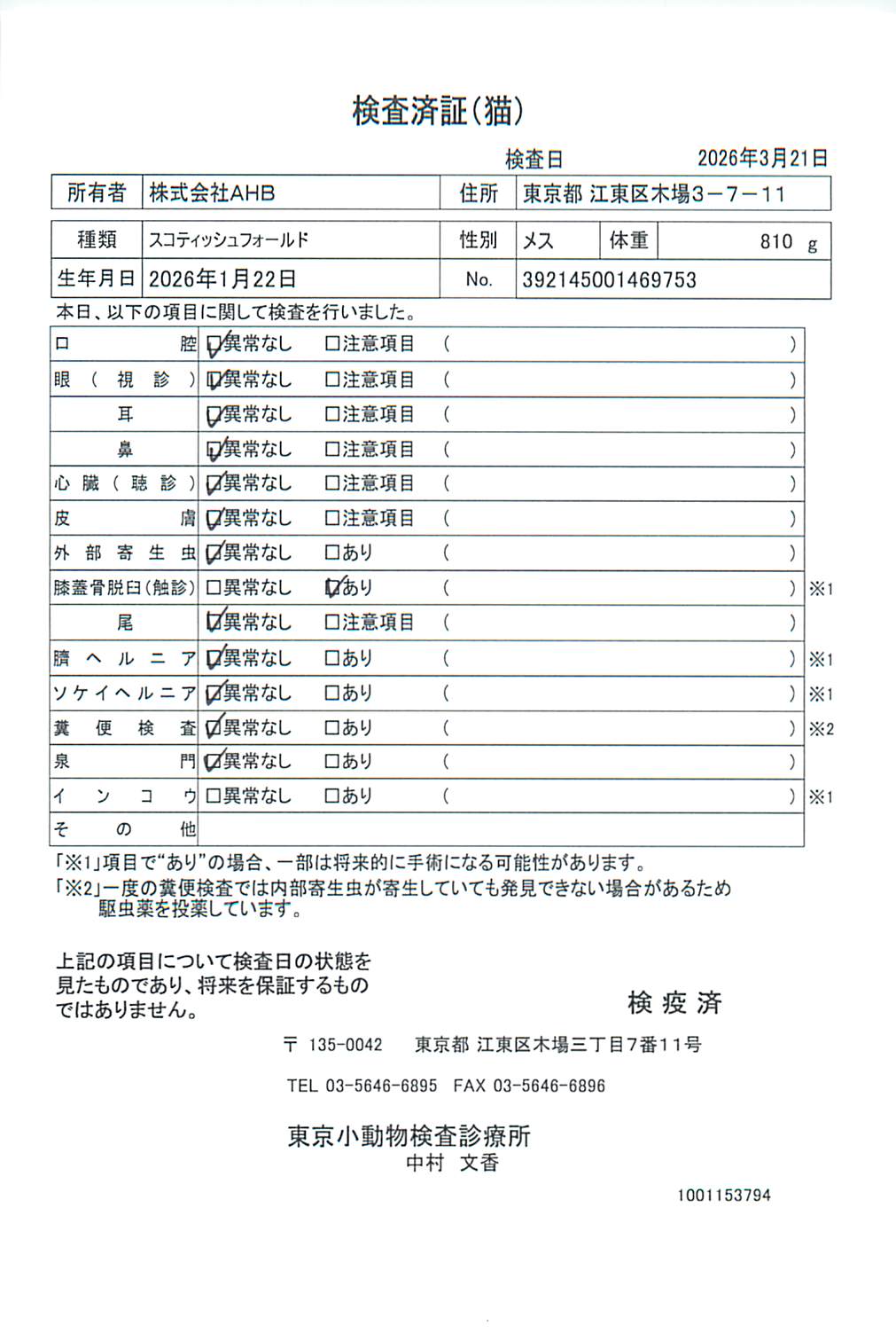 スコティッシュフォールド