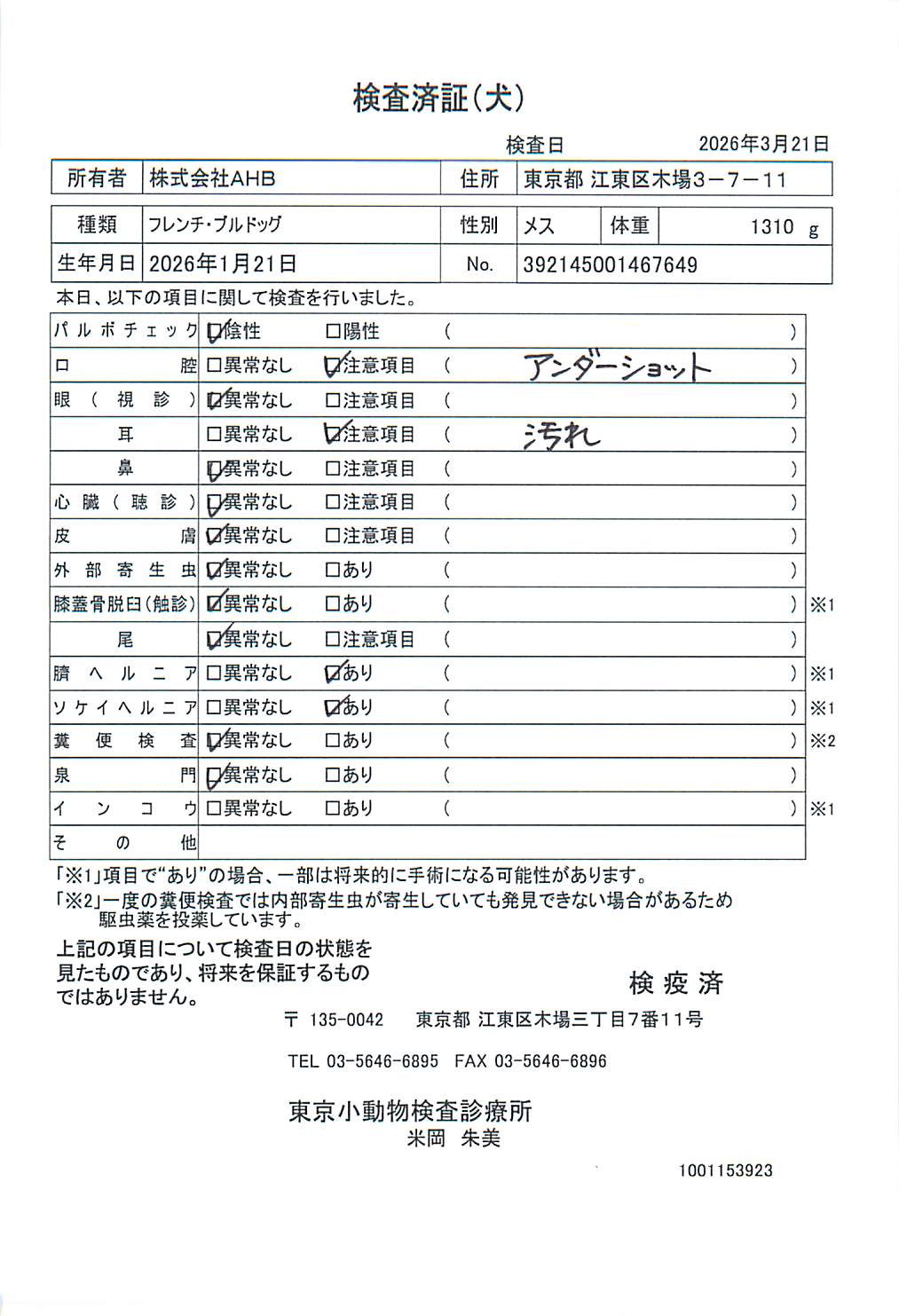 フレンチ・ブルドッグ