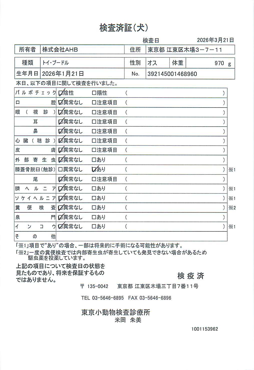 トイ・プードル