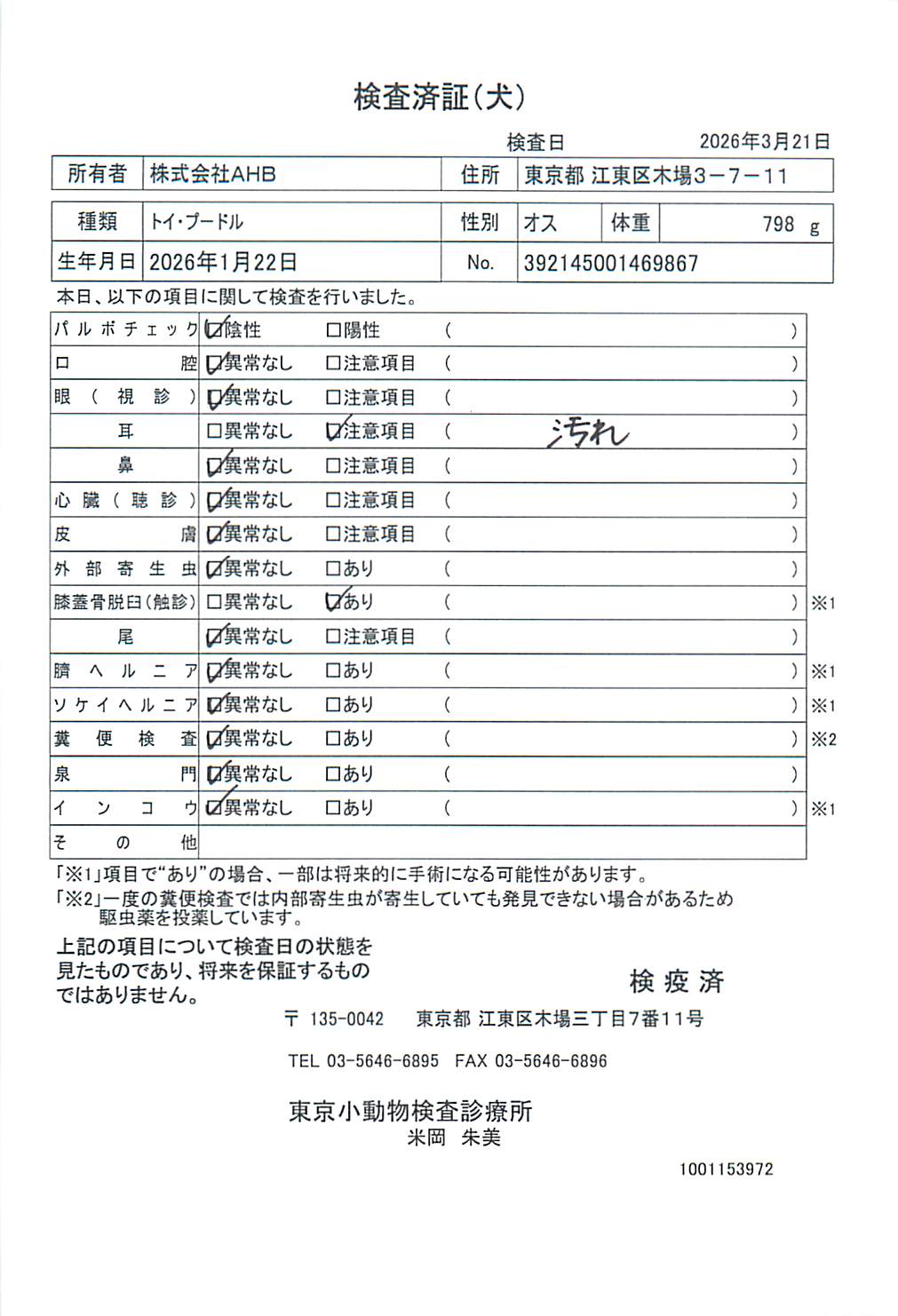 トイ・プードル