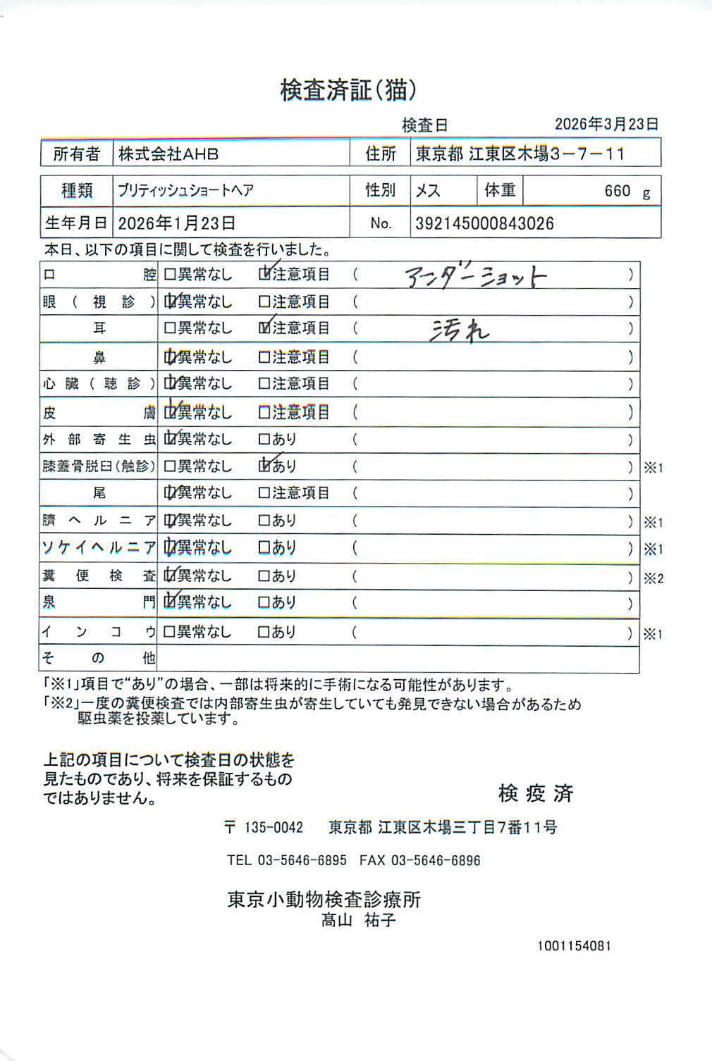 ブリティッシュショートヘア