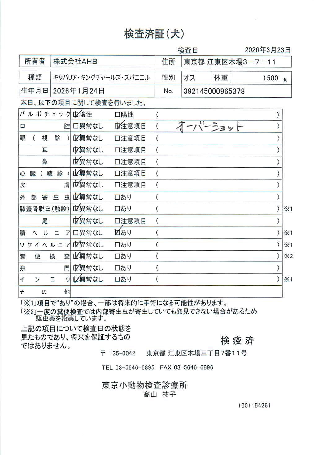 キャバリア・キングチャールズ・スパニエル