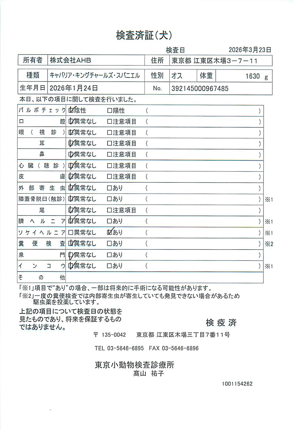 キャバリア・キングチャールズ・スパニエル