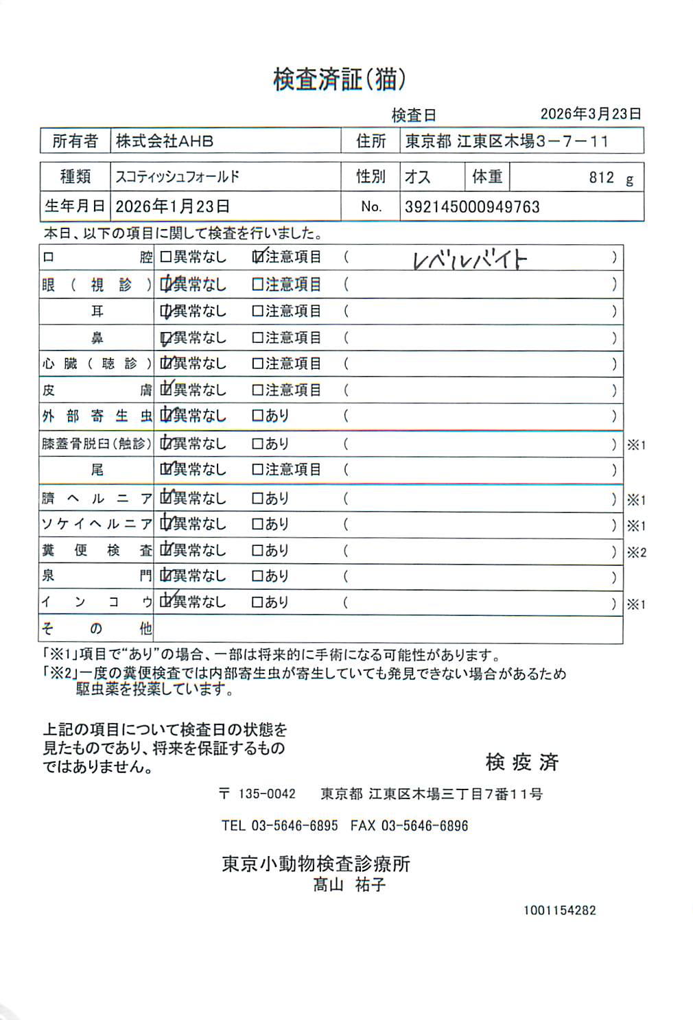 スコティッシュフォールド