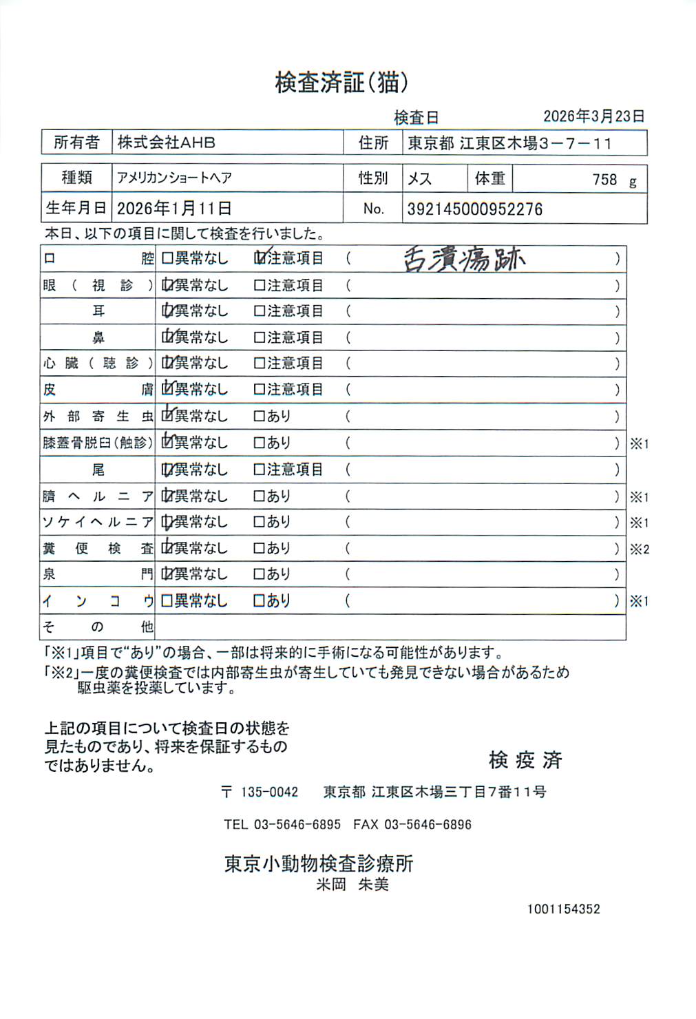 アメリカンショートヘア
