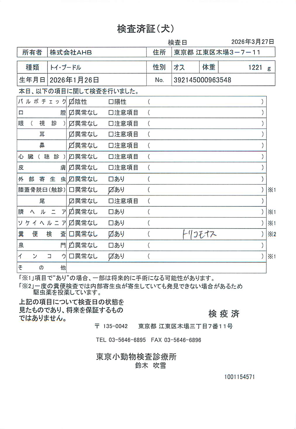トイ・プードル