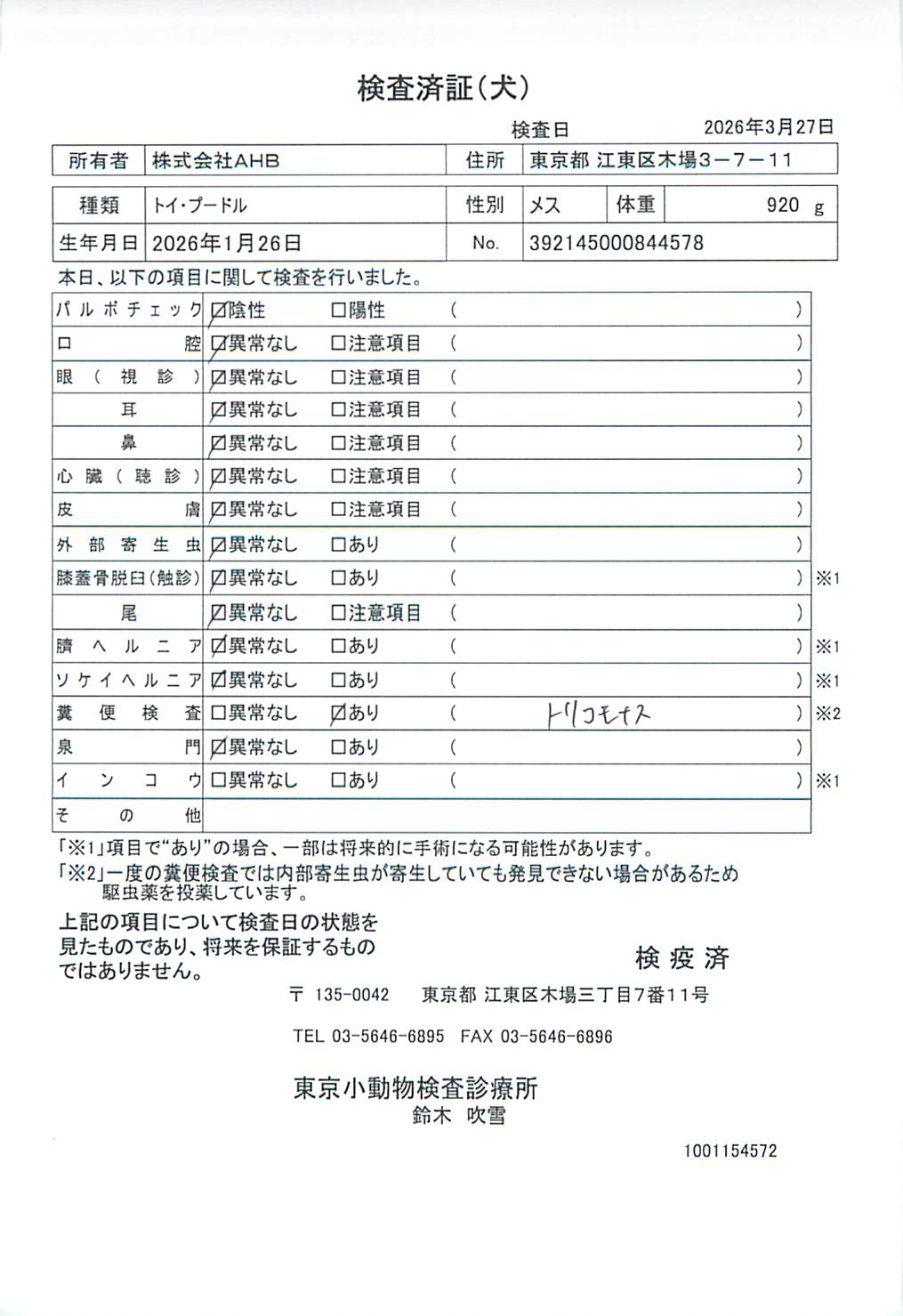 トイ・プードル