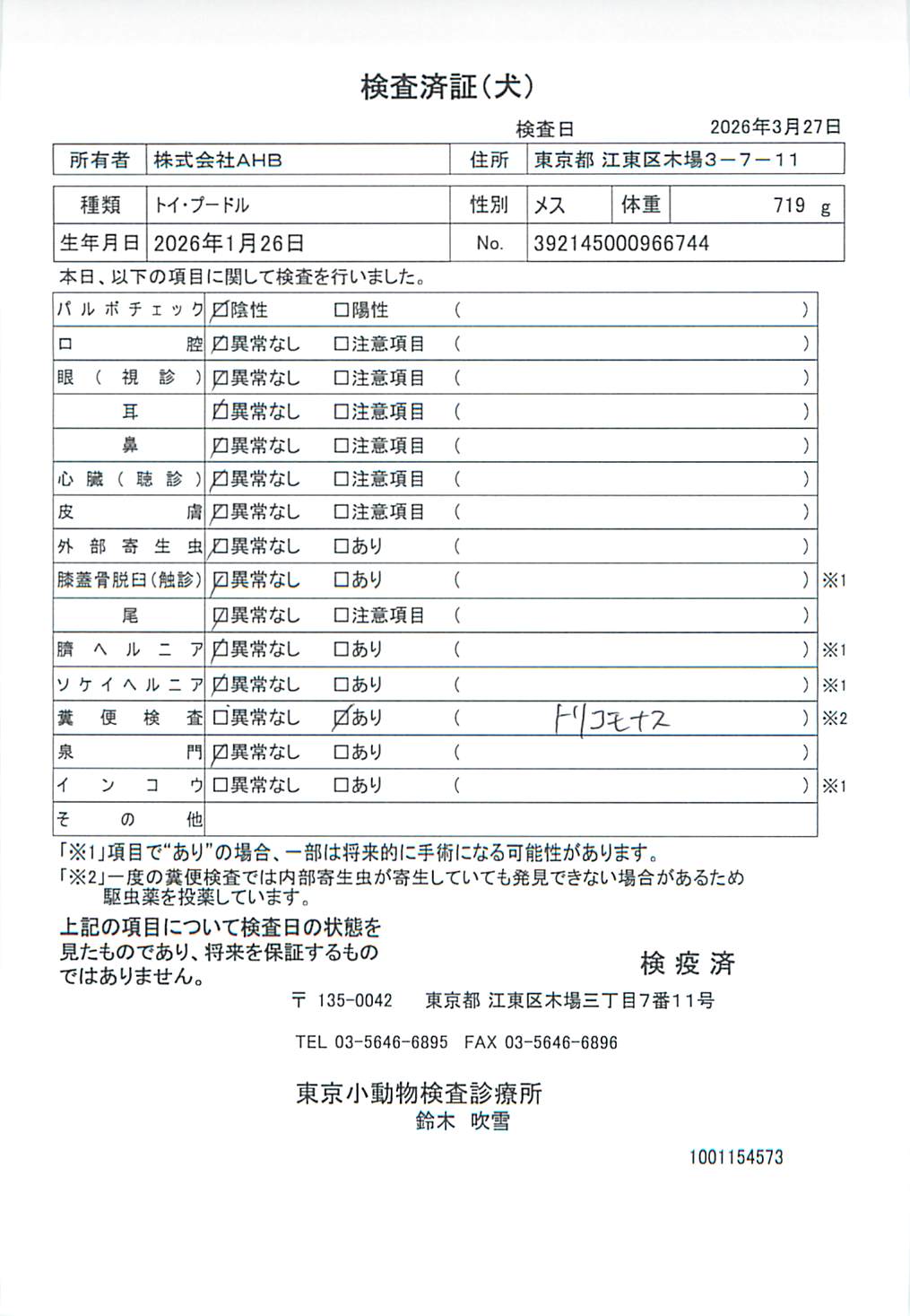 トイ・プードル