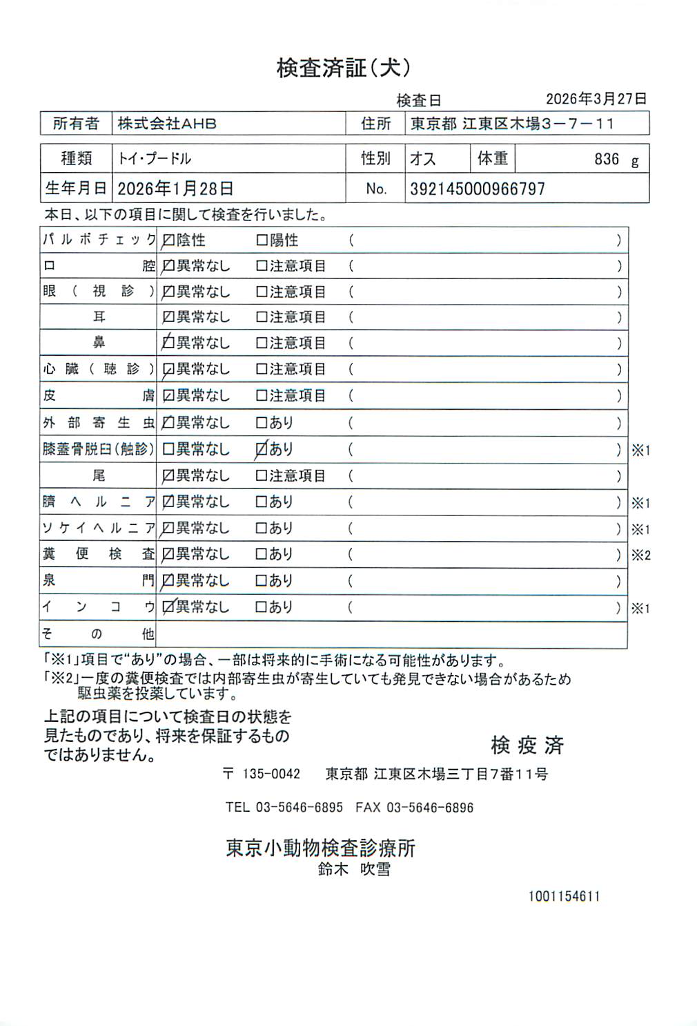 トイ・プードル