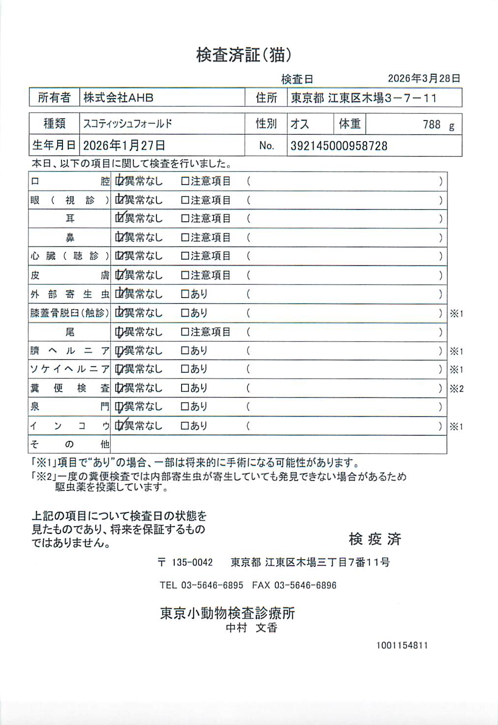 スコティッシュフォールド