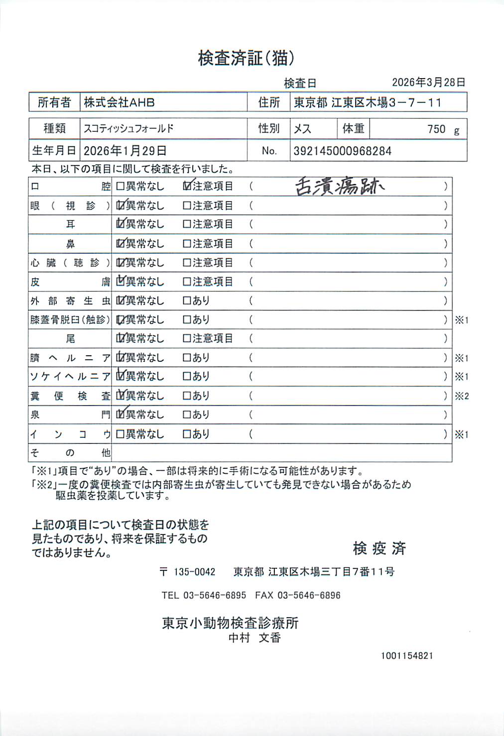 スコティッシュフォールド