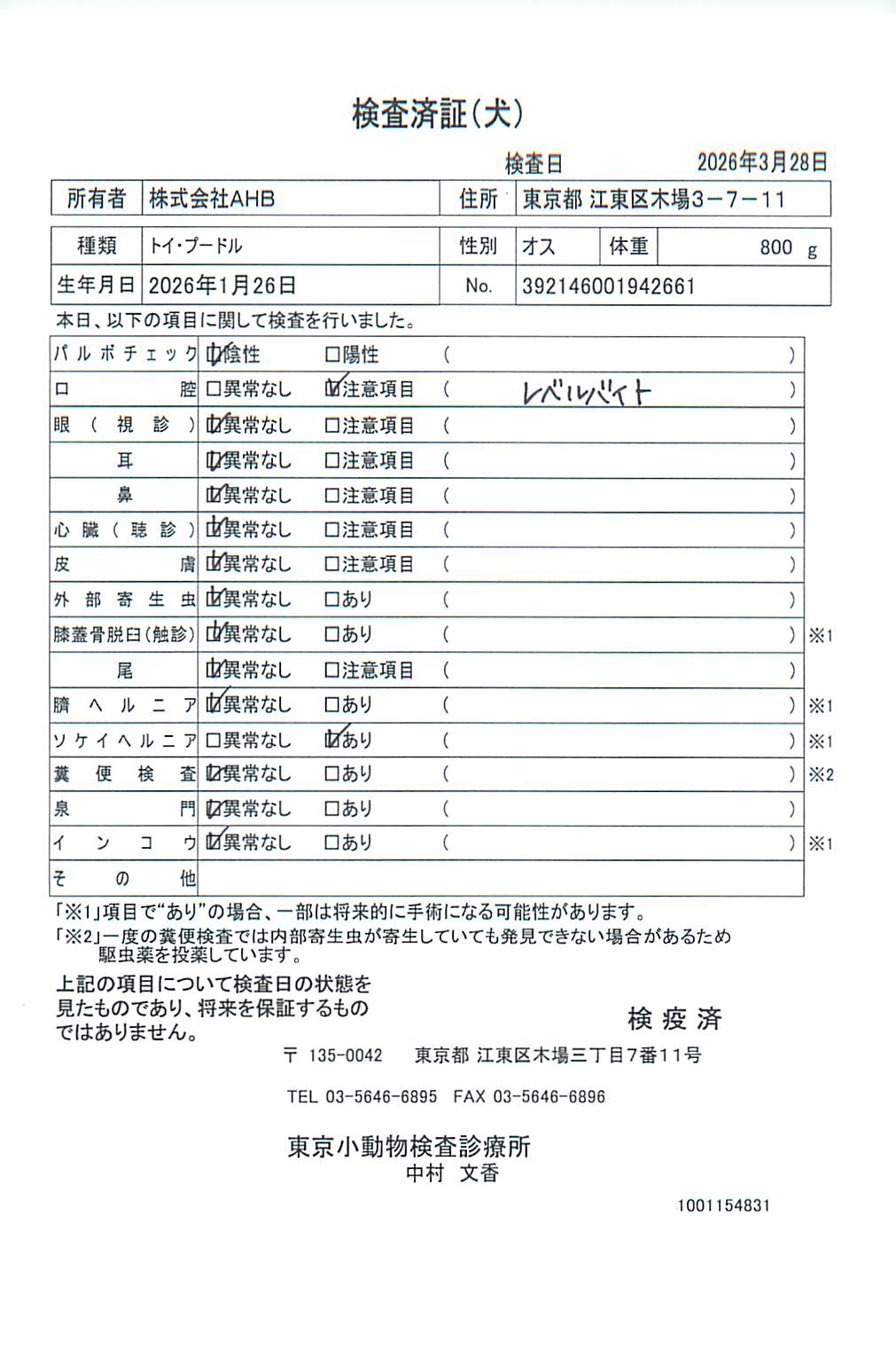 トイ・プードル