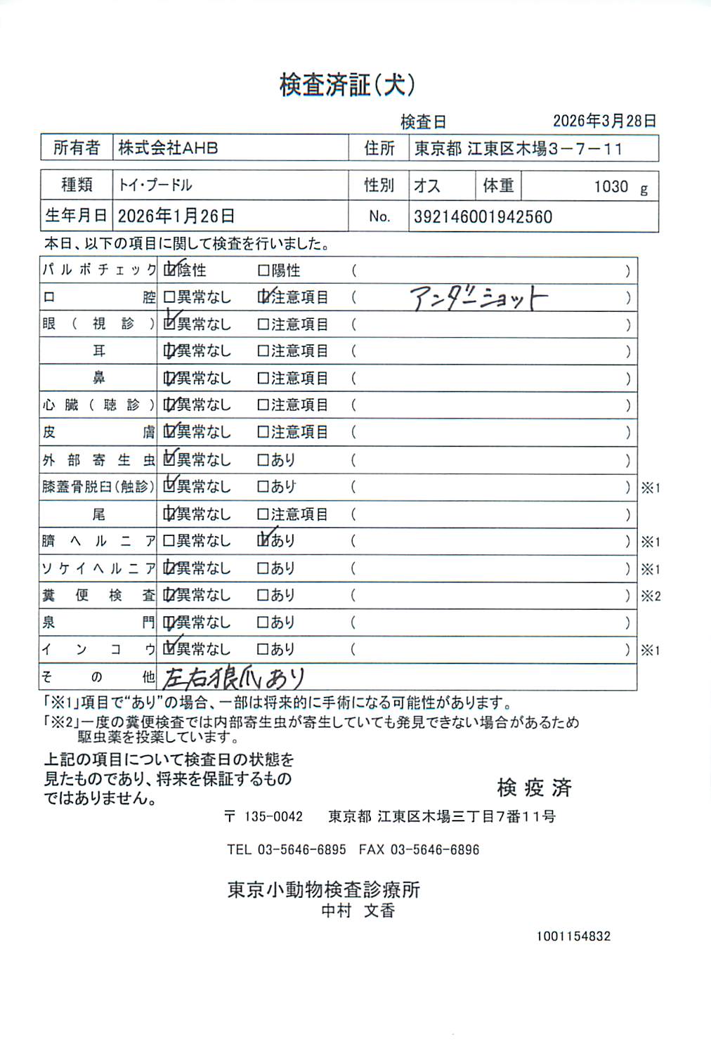 トイ・プードル
