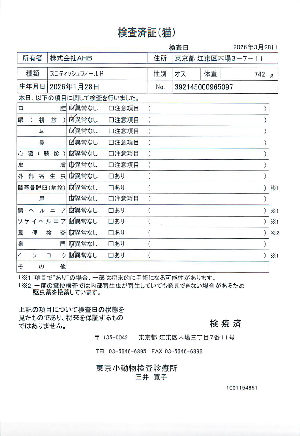 スコティッシュフォールド