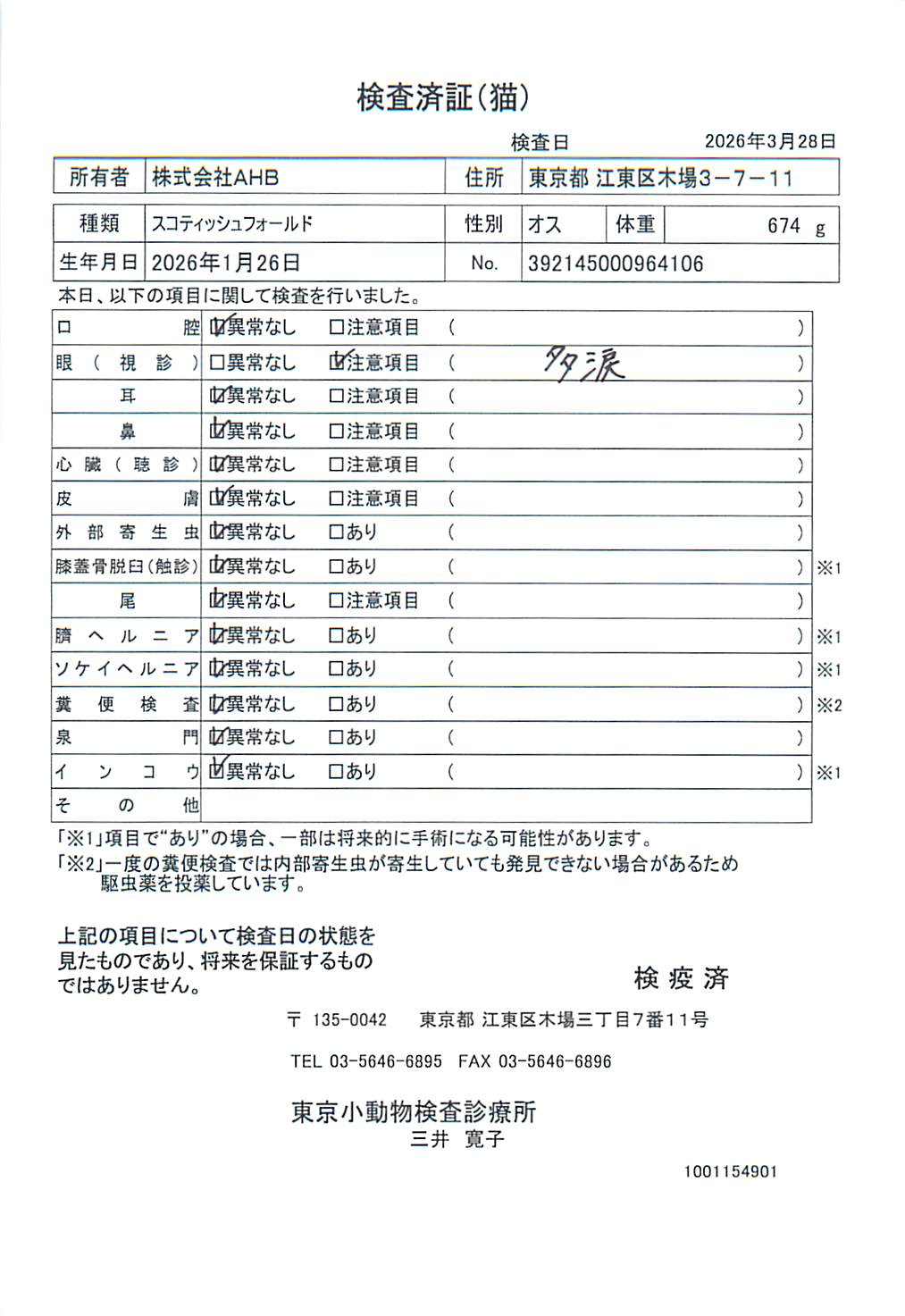 スコティッシュフォールド