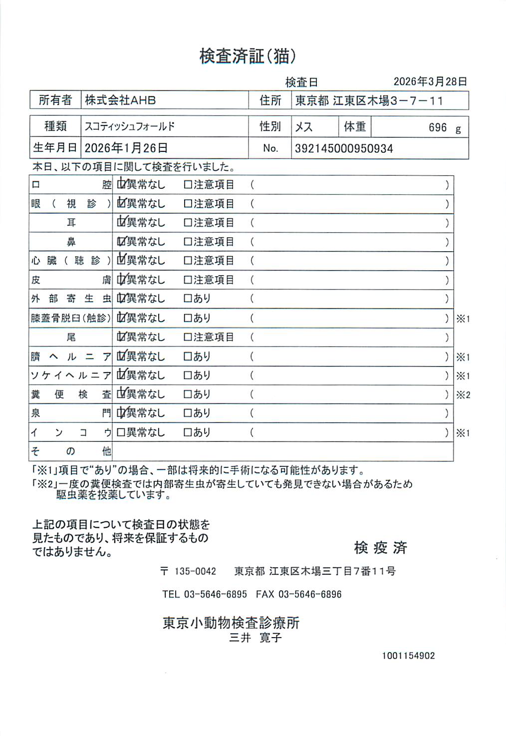 スコティッシュフォールド