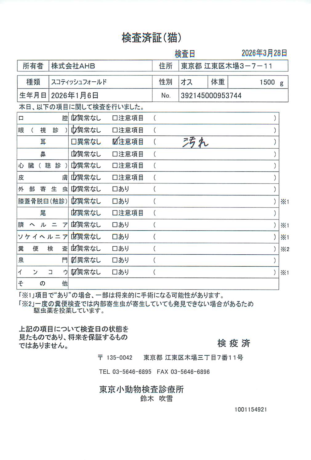 スコティッシュフォールド