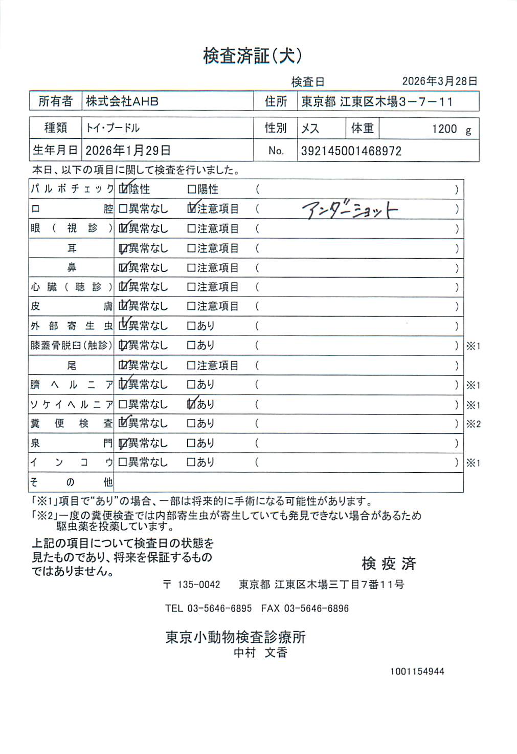 トイ・プードル