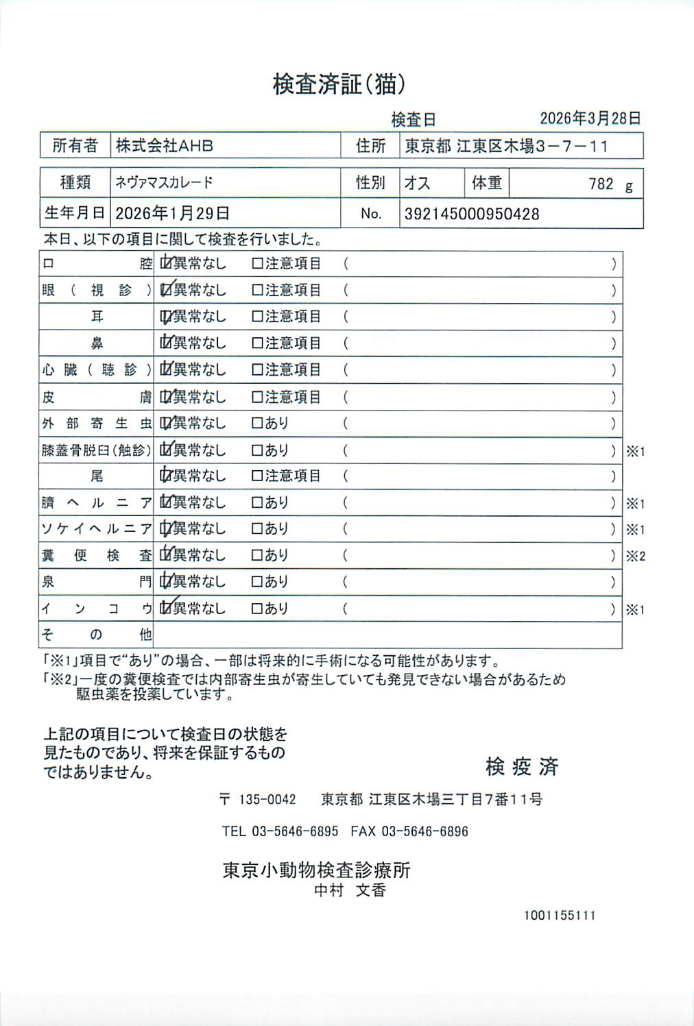 ネヴァマスカレード