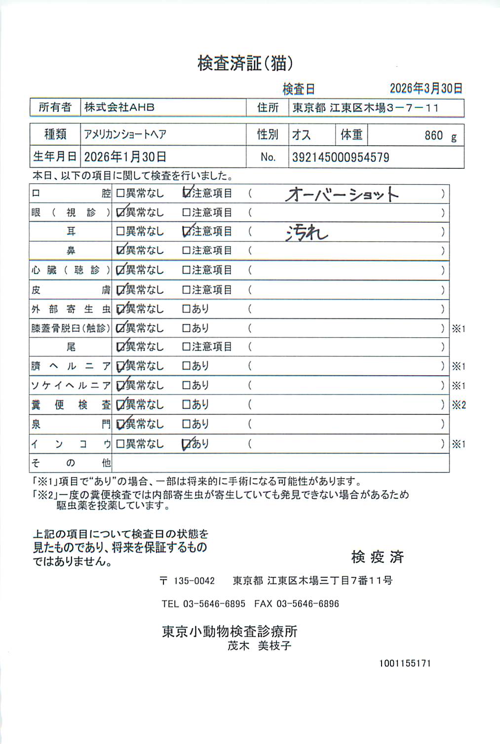アメリカンショートヘア