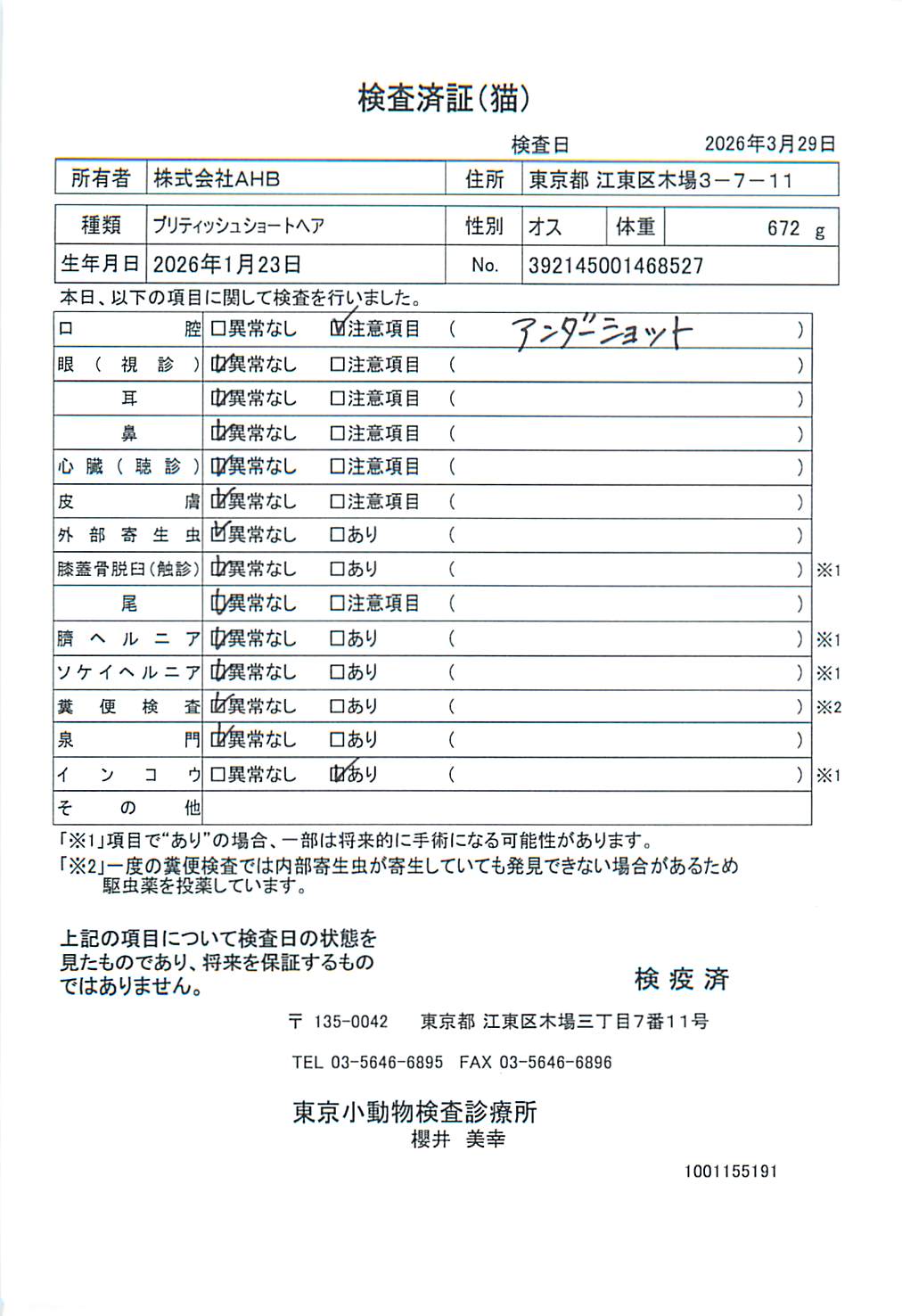 ブリティッシュショートヘア