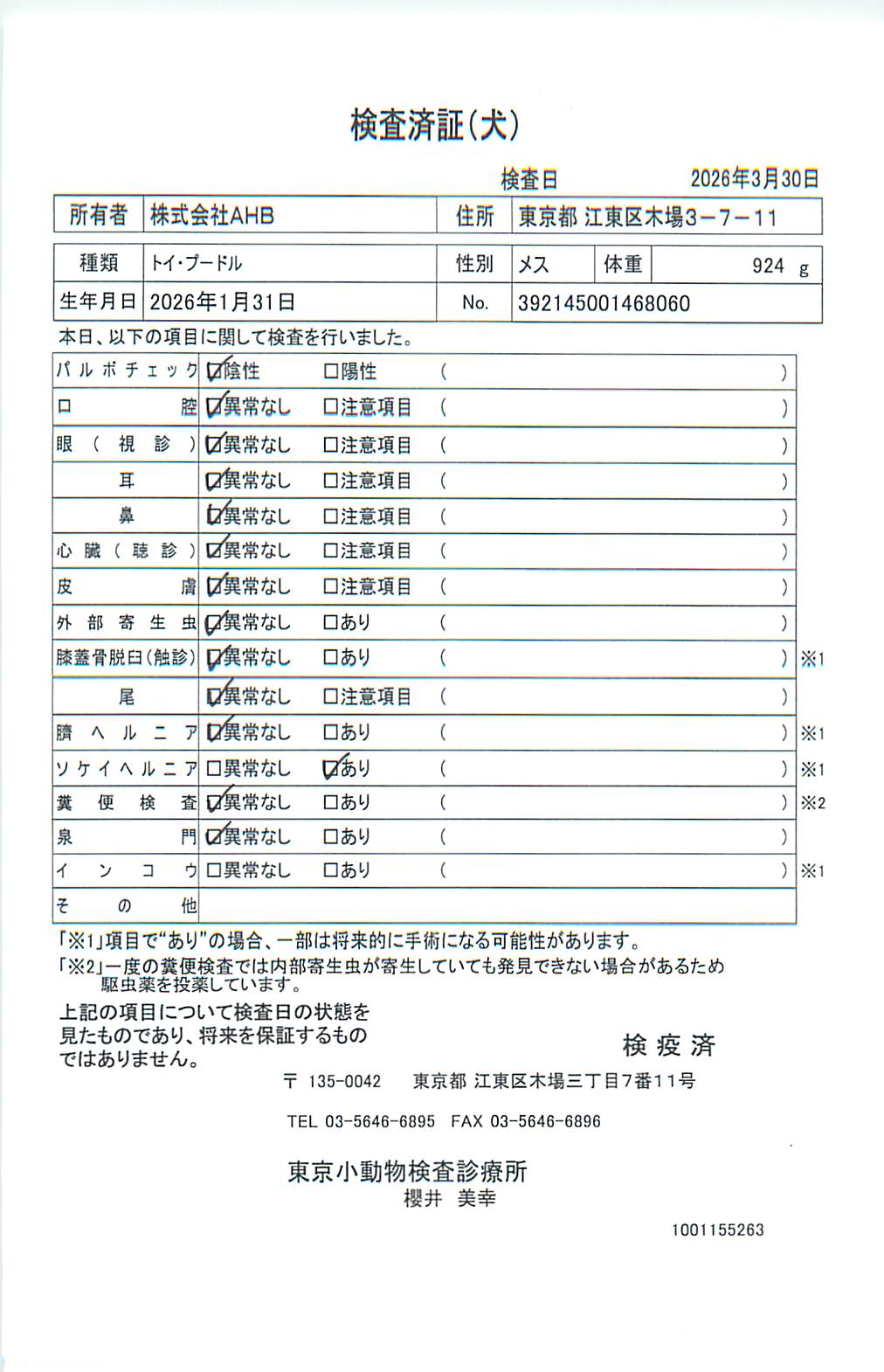 トイ・プードル