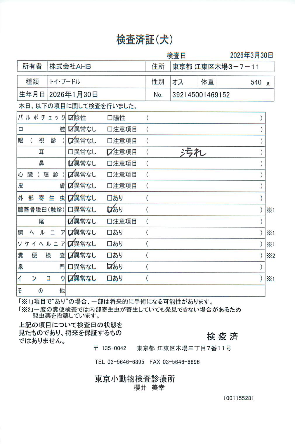 トイ・プードル