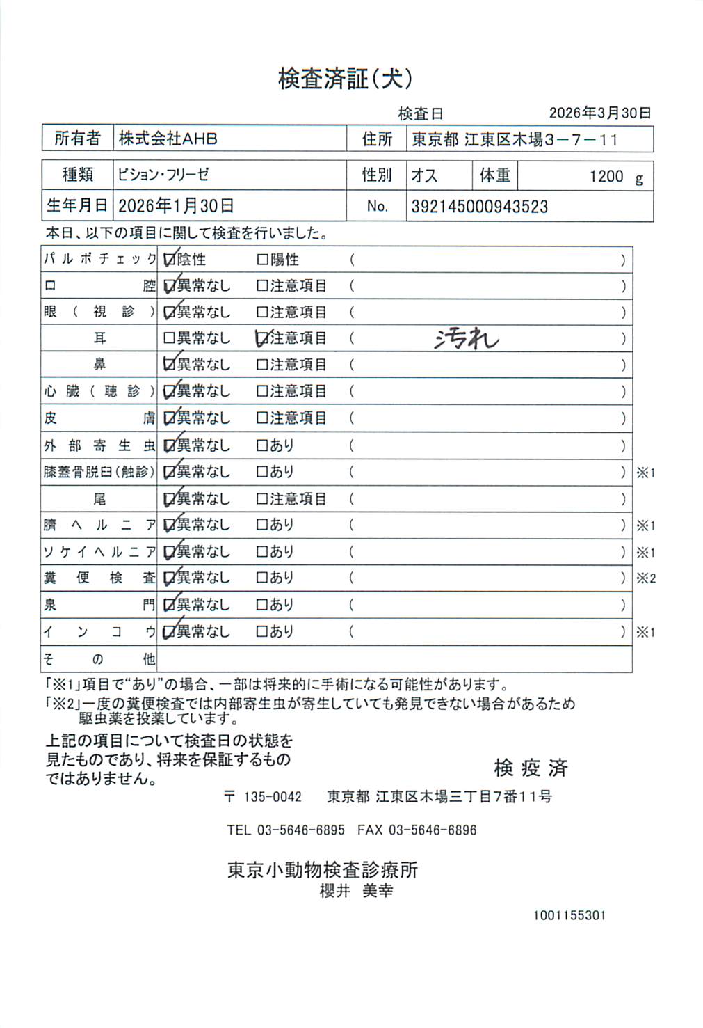 ビション・フリーゼ