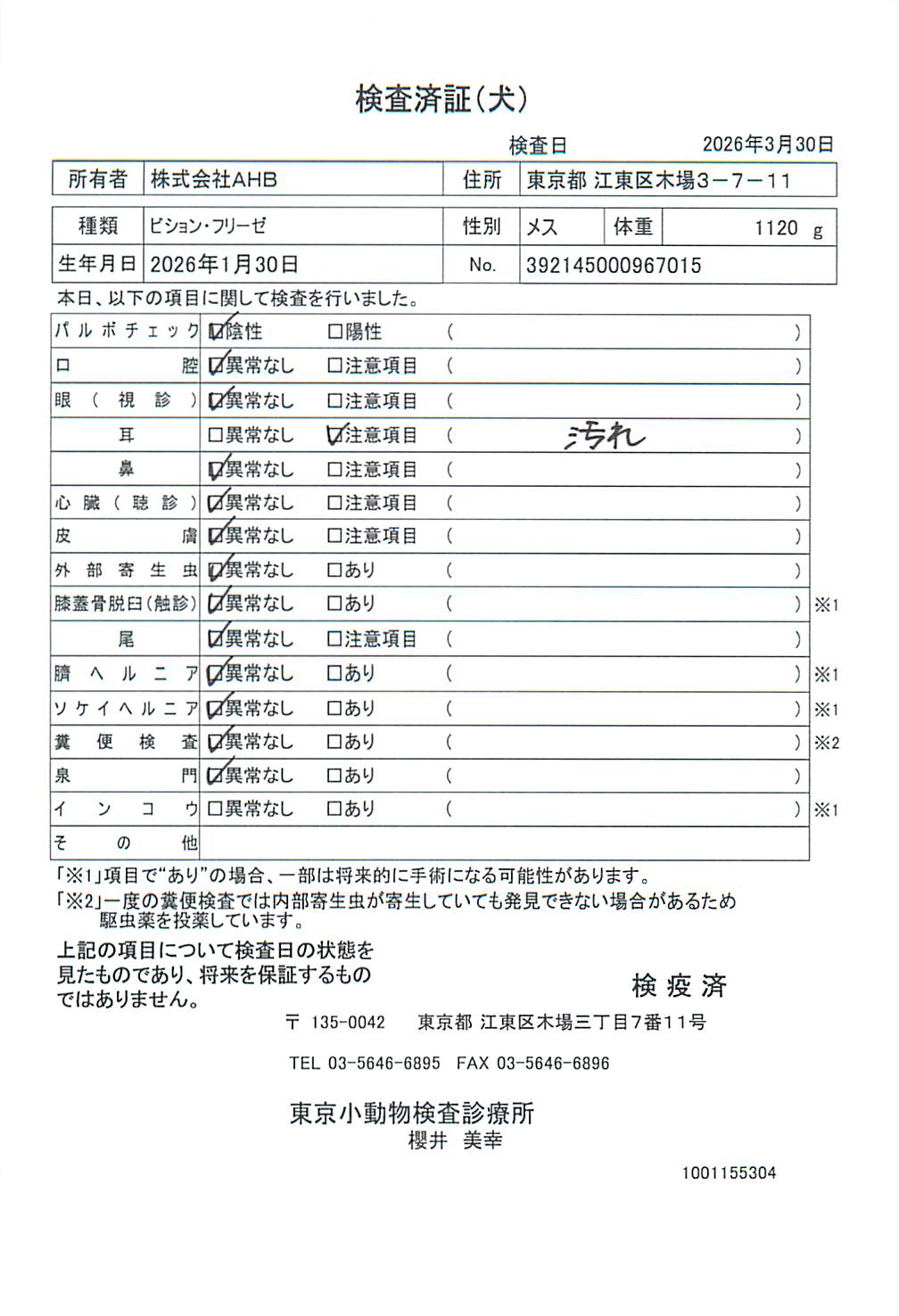 ビション・フリーゼ