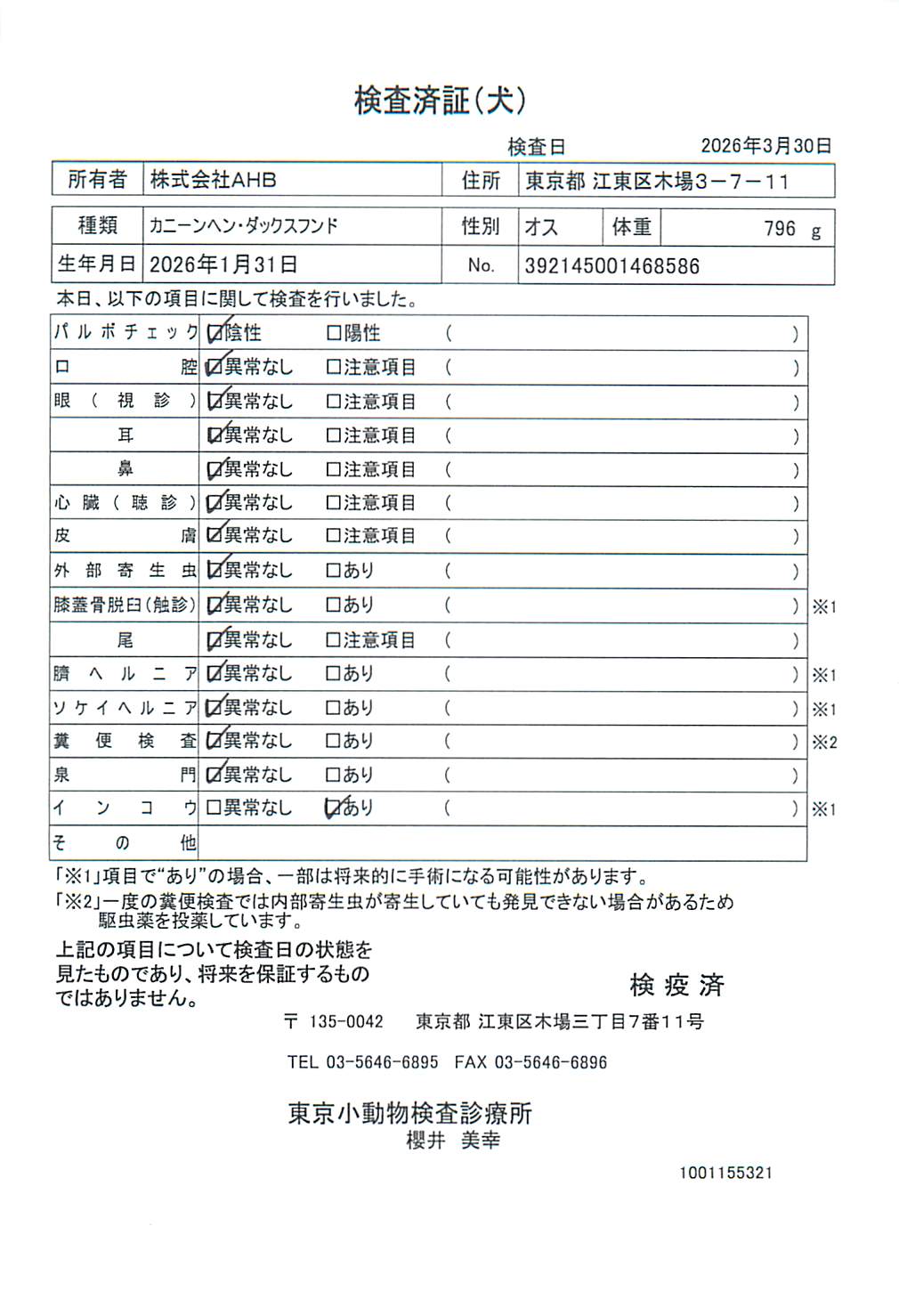 カニーンヘン・ダックスフンド
