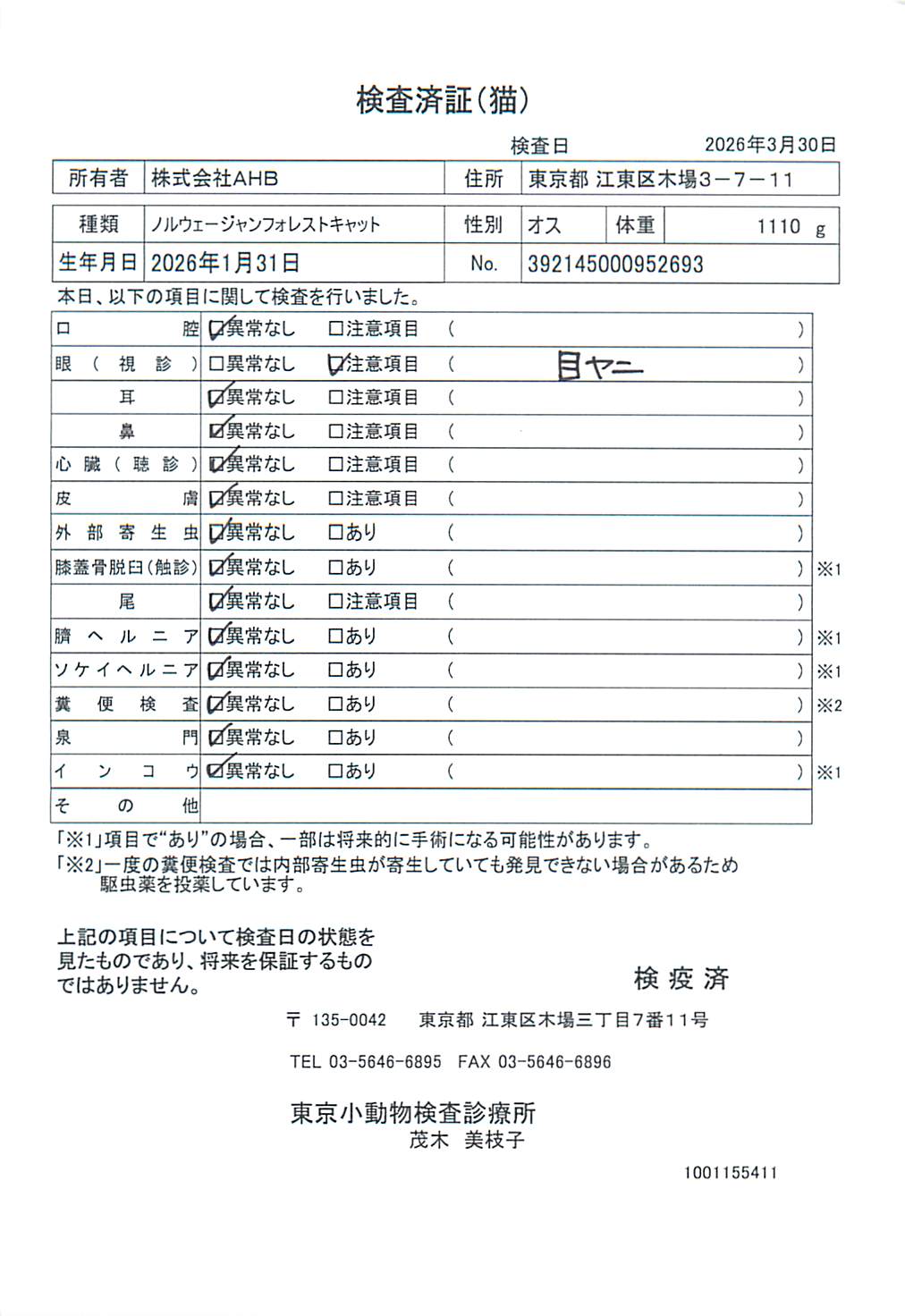 ノルウェージャンフォレストキャット