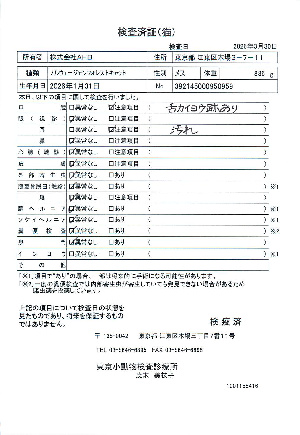 ノルウェージャンフォレストキャット