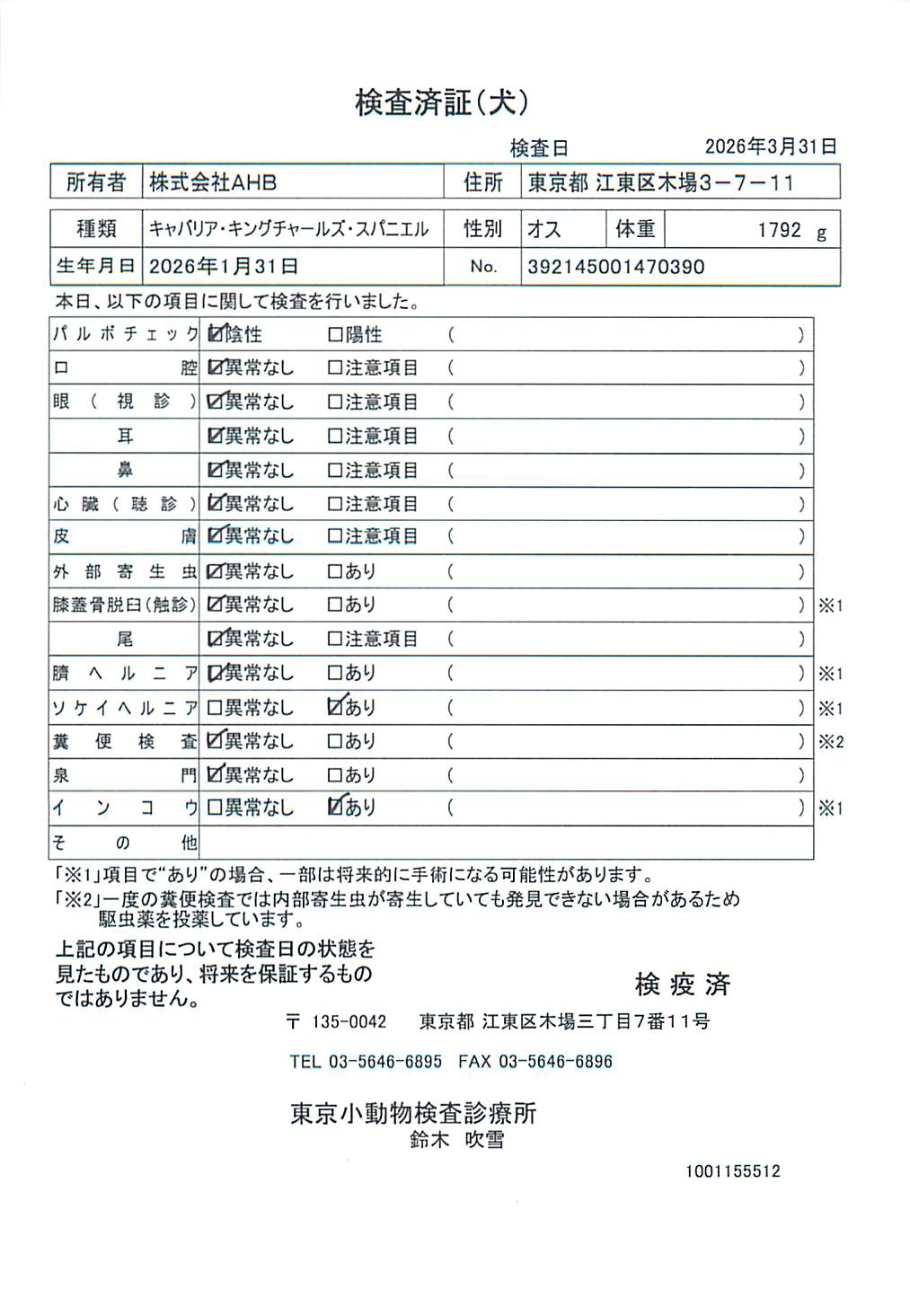 キャバリア・キングチャールズ・スパニエル