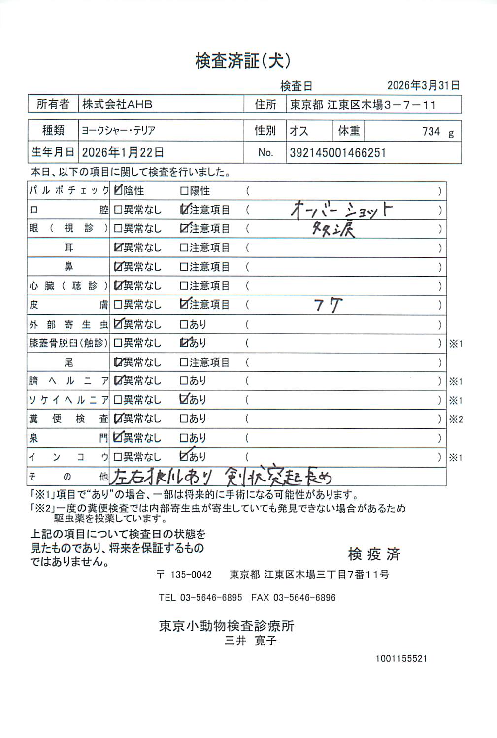 ヨークシャー・テリア