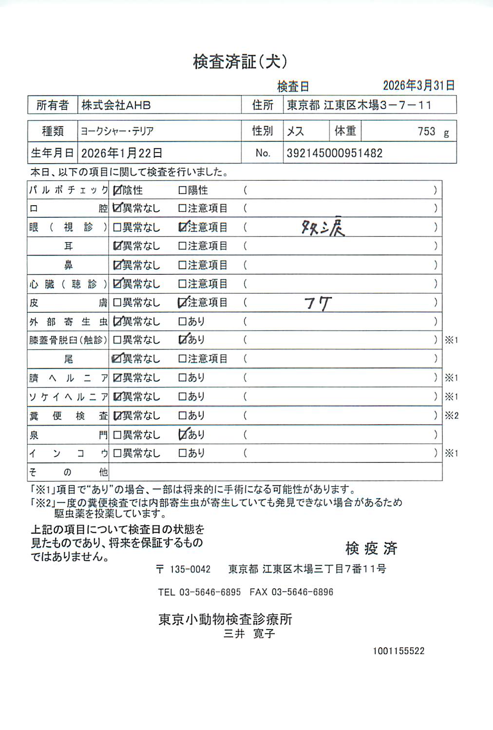 ヨークシャー・テリア