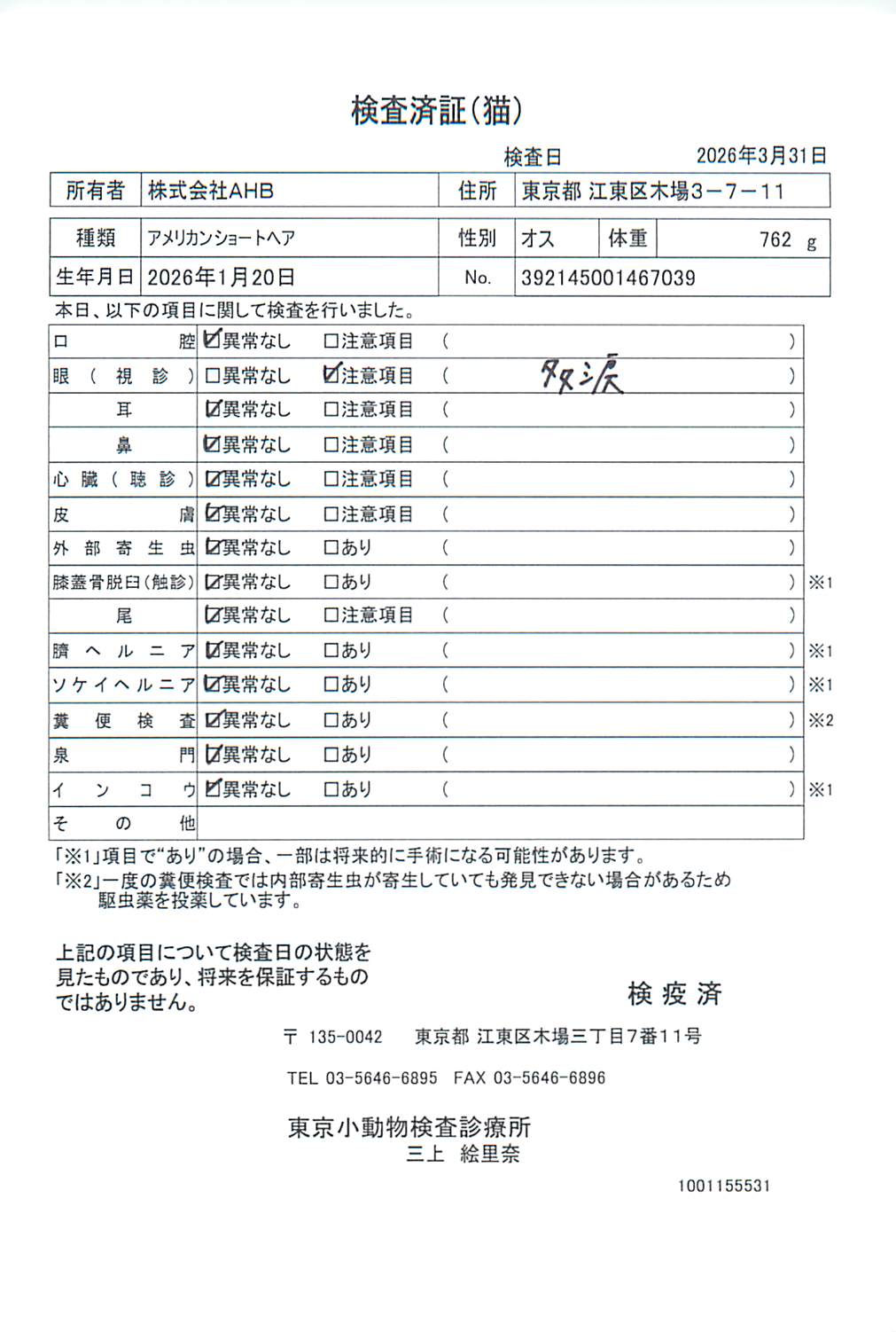 アメリカンショートヘア