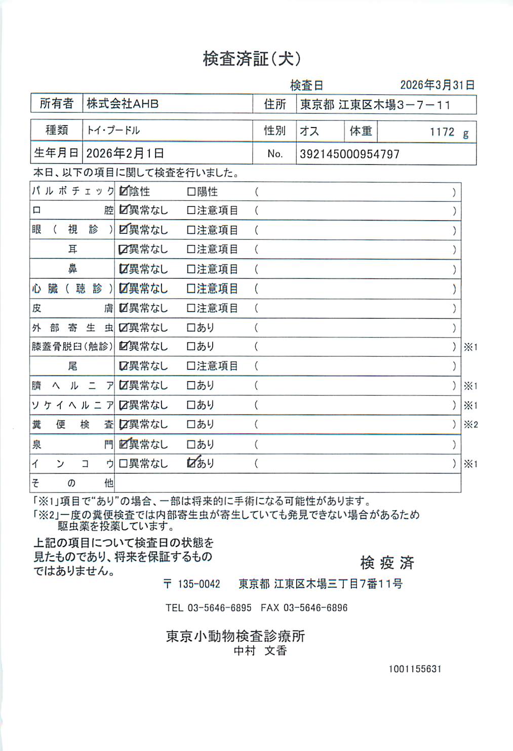 トイ・プードル