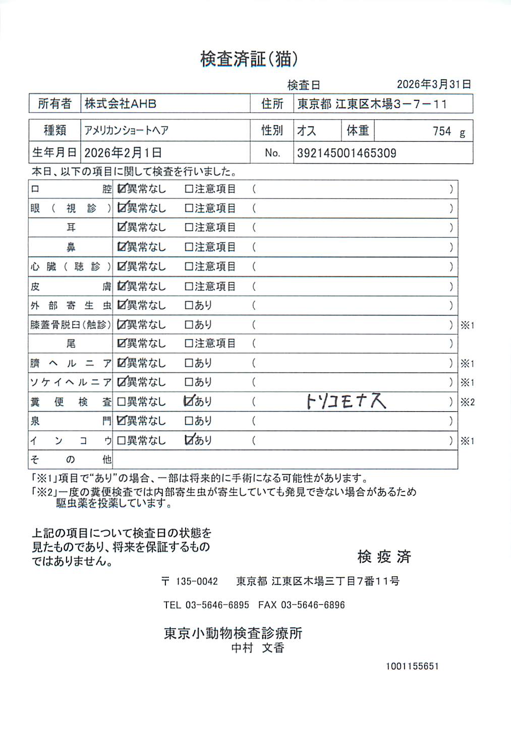 アメリカンショートヘア