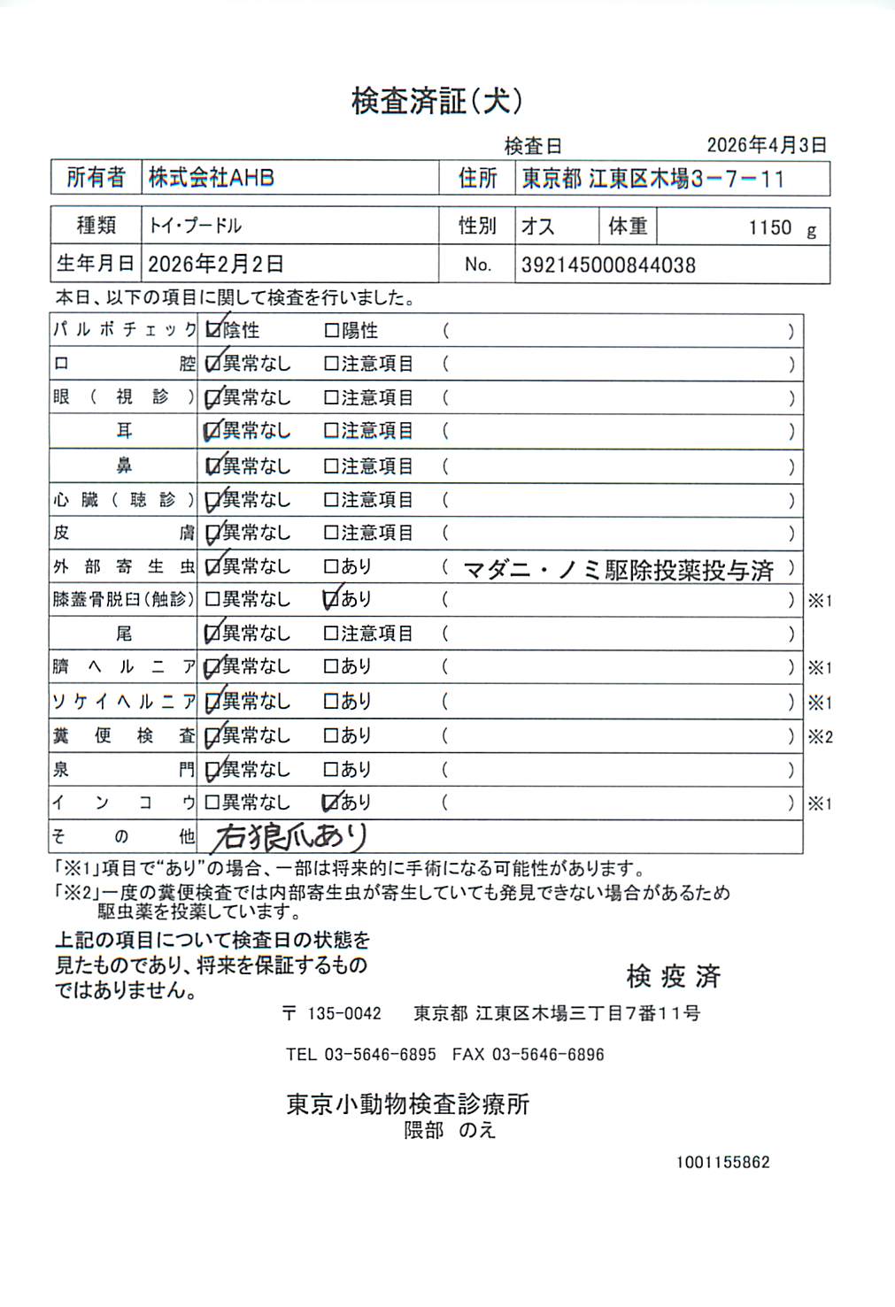 トイ・プードル