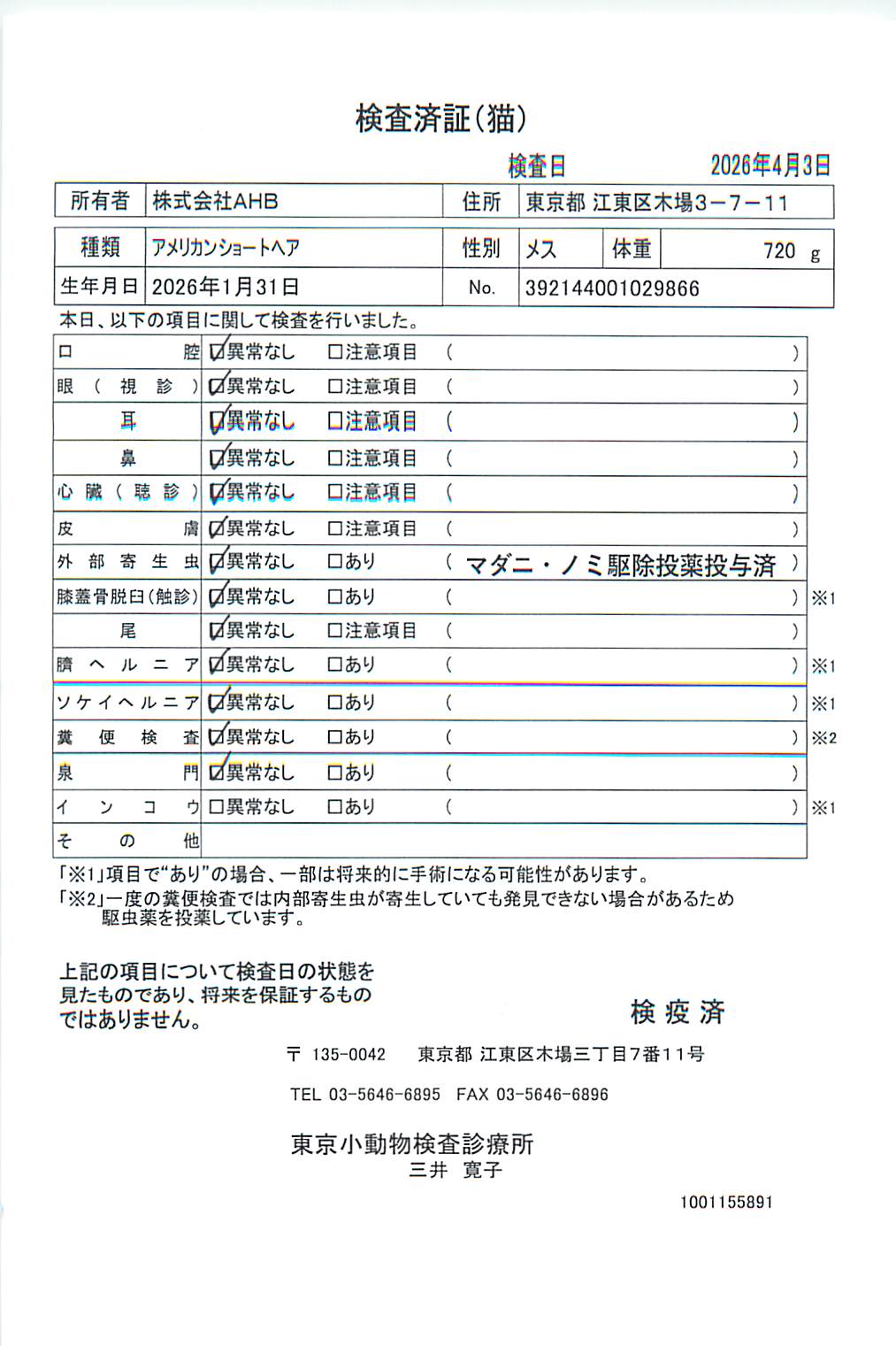 アメリカンショートヘア
