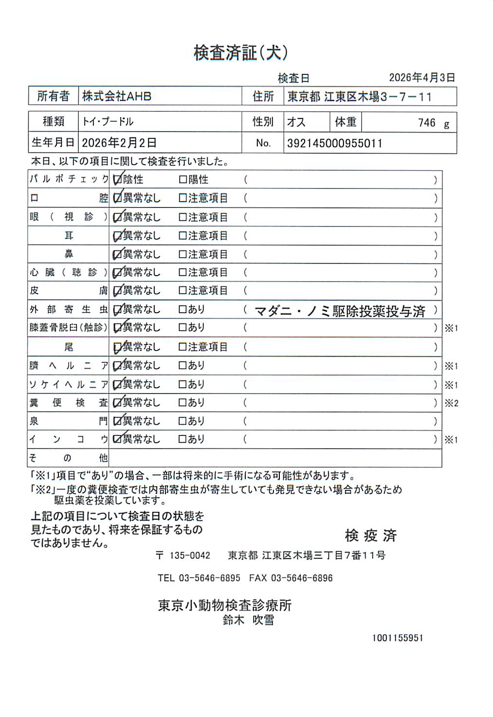 トイ・プードル