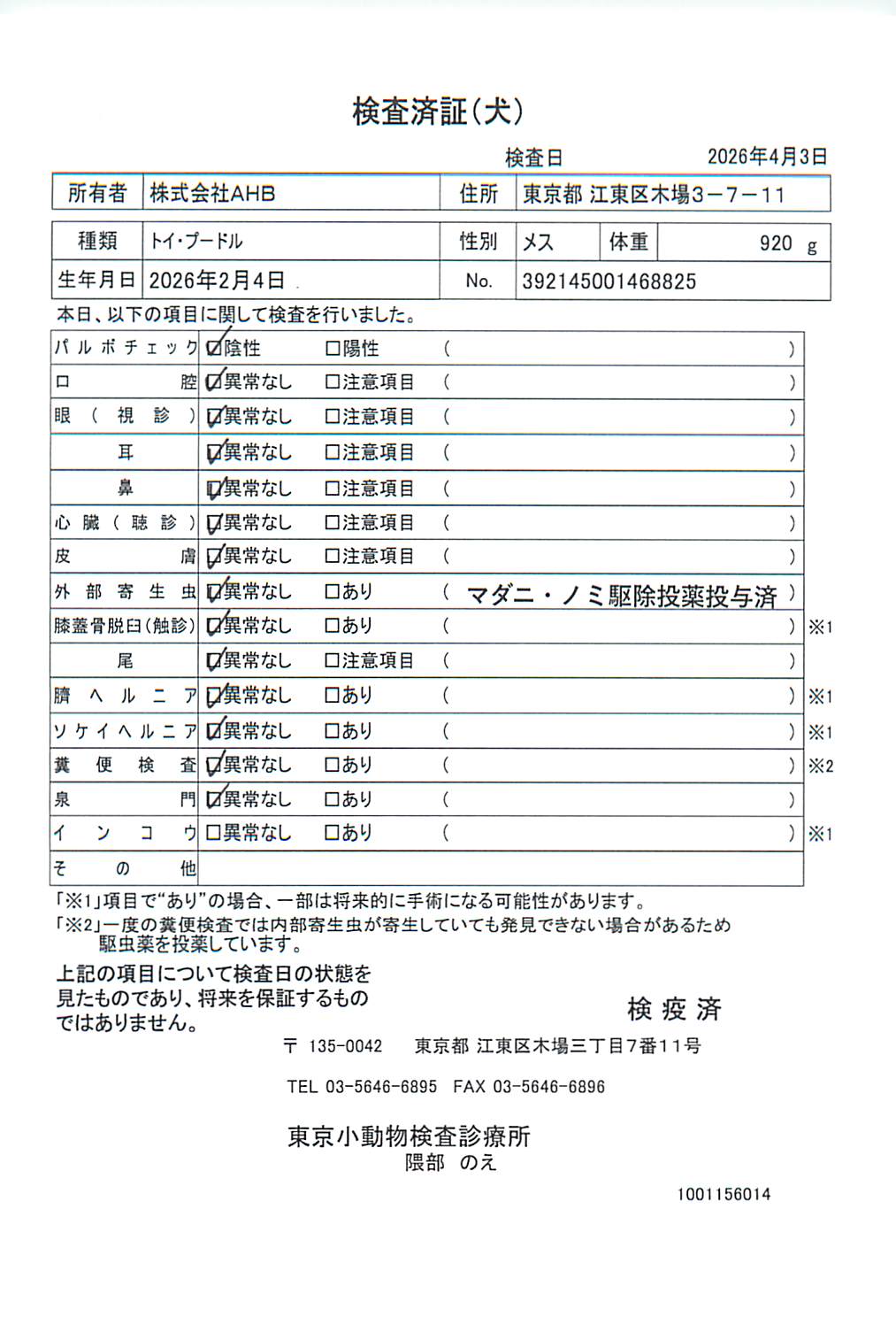 トイ・プードル