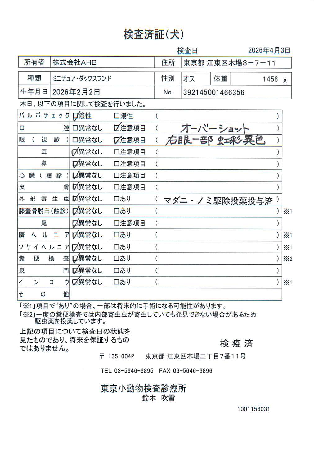 ミニチュア・ダックスフンド