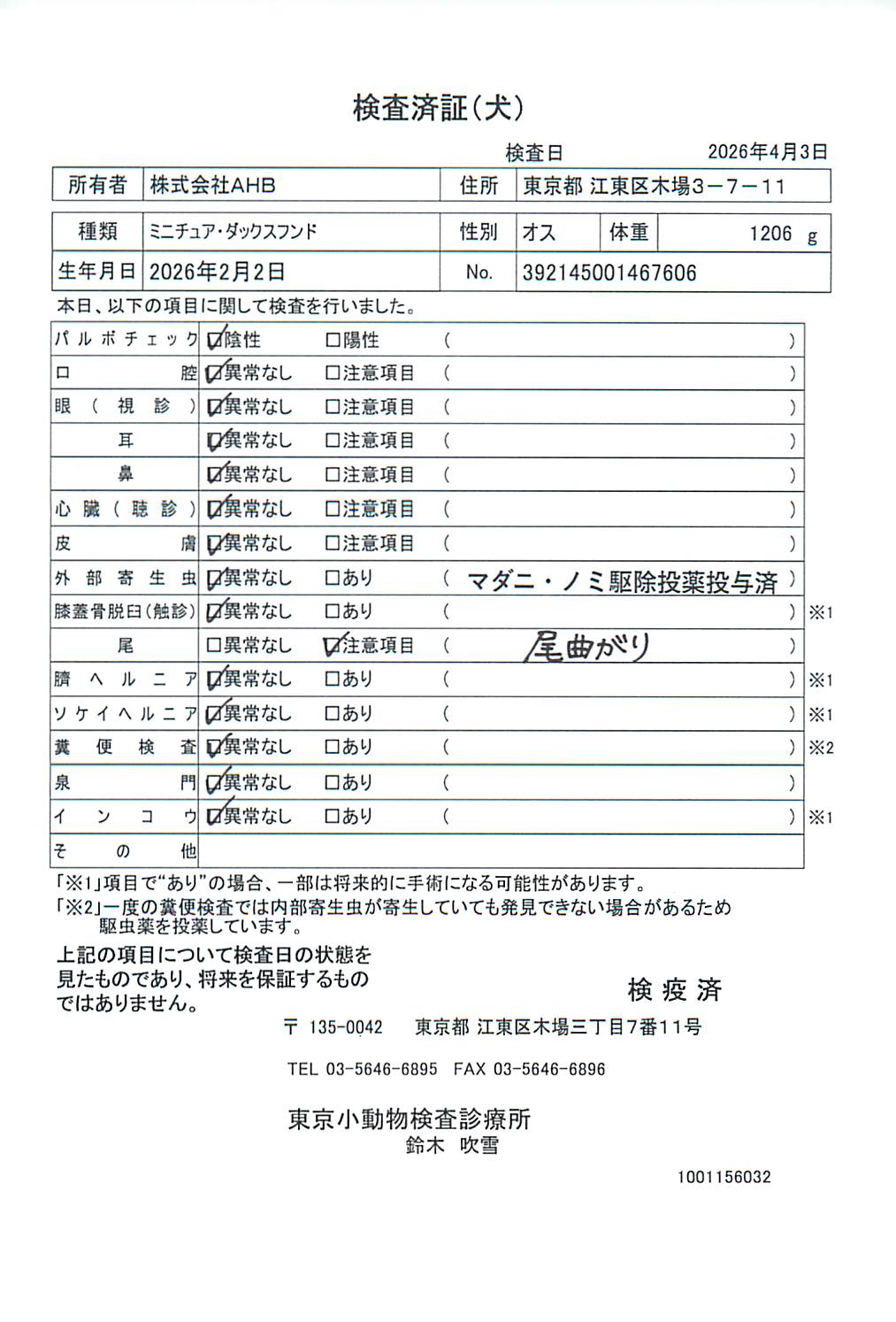 ミニチュア・ダックスフンド